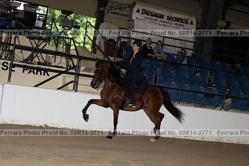 Proof 08r14-2771