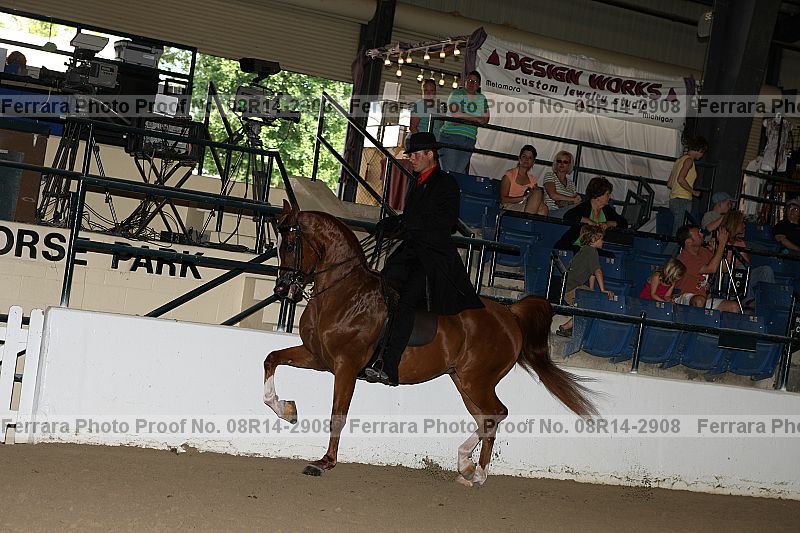Proof 08r14-2908