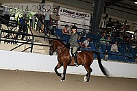 08r14-2952 proof