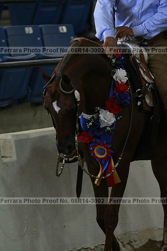Proof 08r14-3002