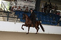 08r14-3036 proof