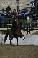 08r14-3038 proof