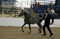 08r14-3174 proof