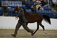 08r14-3176 proof