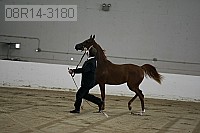 08r14-3180 proof