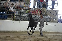 08r14-3181 proof