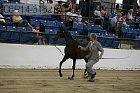 08r14-3182 proof