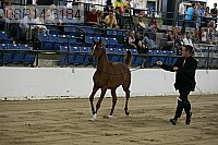 08r14-3184 proof