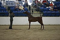 08r14-3187 proof