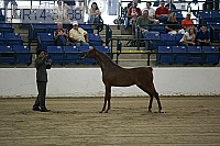 08r14-3188 proof