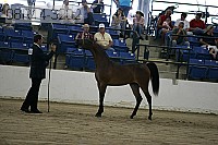 08r14-3202 proof