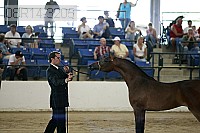 08r14-3205 proof