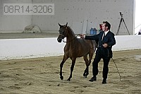 08r14-3206 proof