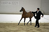 08r14-3221 proof