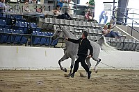 08r14-3311 proof