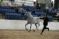 08r14-3312 proof