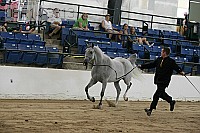 08r14-3313 proof