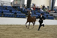 08r14-3320 proof