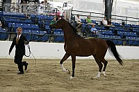 08r14-3322 proof