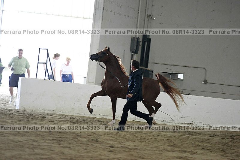 Proof 08r14-3323