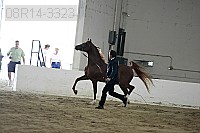 08r14-3323 proof