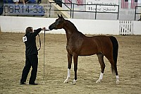 08r14-3357 proof