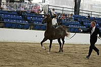 08r14-3373 proof