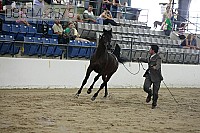 08r14-3375 proof