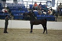 08r14-3392 proof