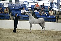 08r14-3402 proof