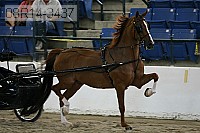 08r14-3437 proof