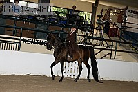 08r14-3486 proof