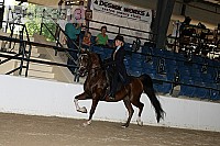 08r14-3513 proof