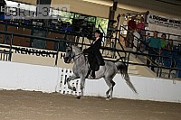 08r14-3519 proof