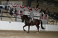 08r14-3585 proof