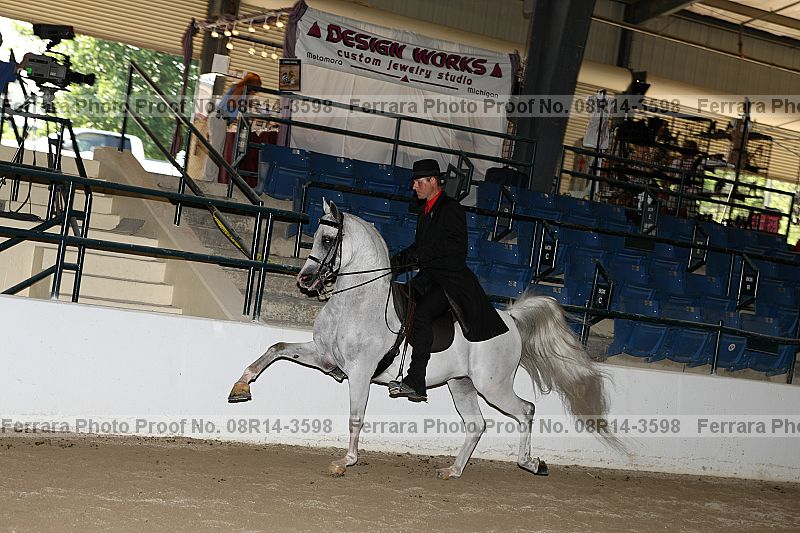Proof 08r14-3598