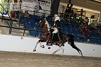 08r14-3636 proof