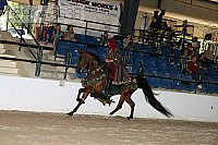 08r14-3638 proof