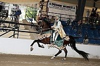 08r14-3640 proof