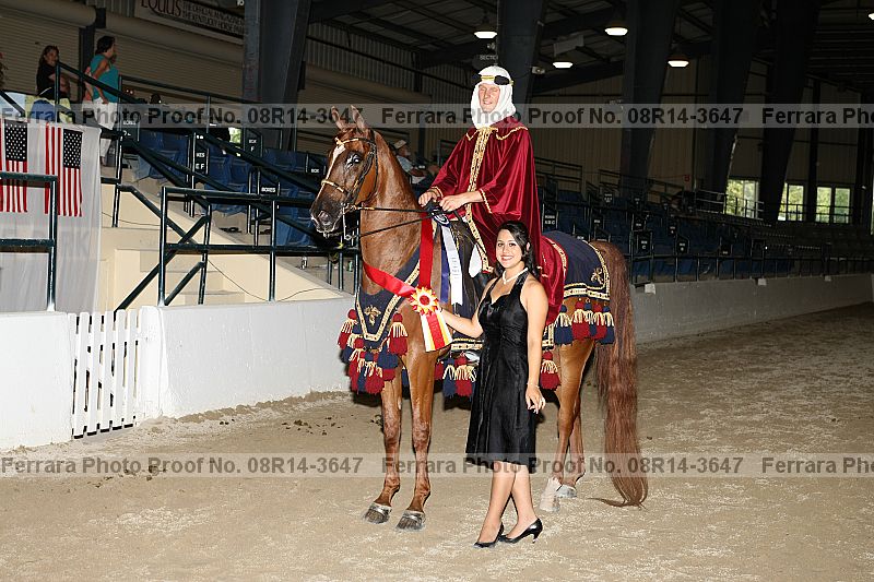 Proof 08r14-3647