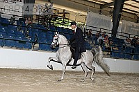 08r14-3696 proof