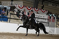 08r14-3701 proof