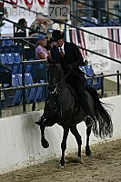 08r14-3702 proof