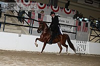 08r14-3703 proof