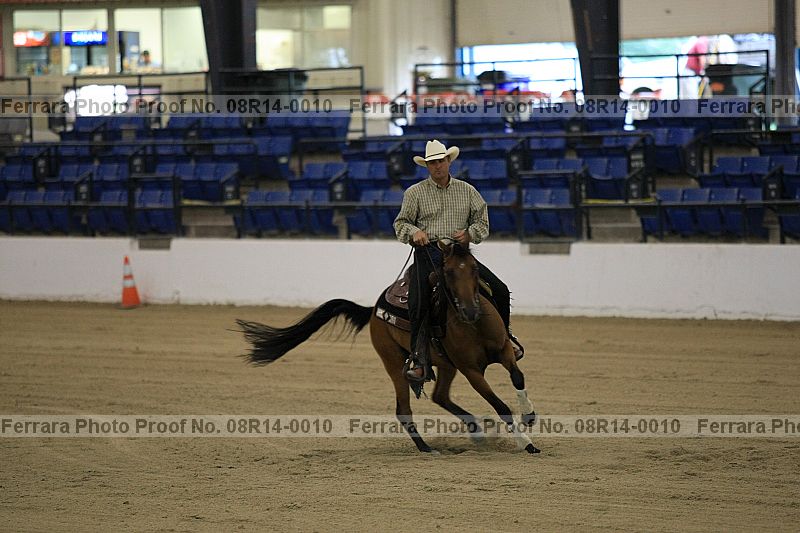 Proof 08r14-0010
