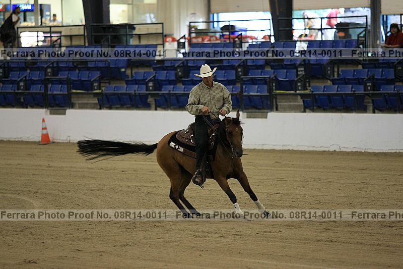 Proof 08r14-0011