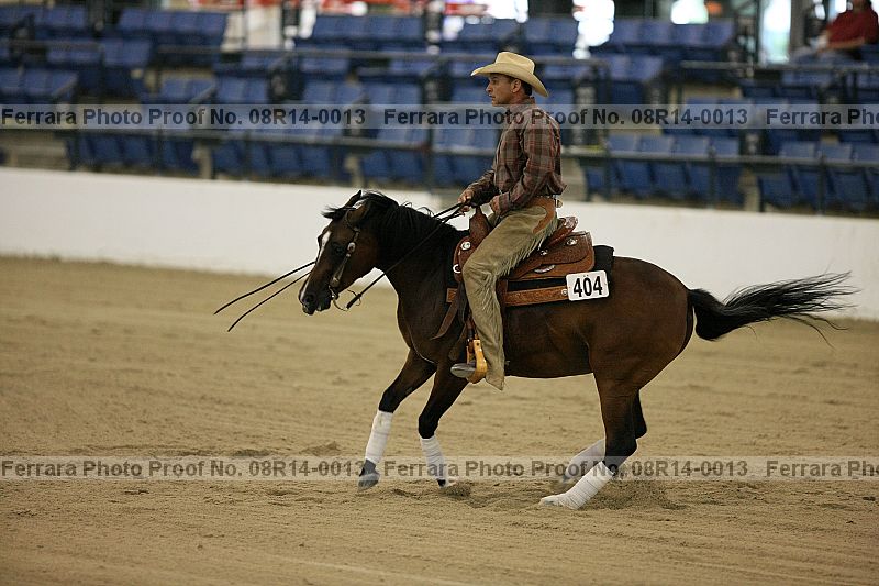 Proof 08r14-0013