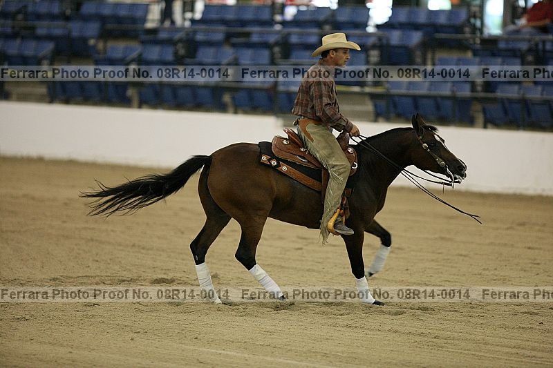 Proof 08r14-0014