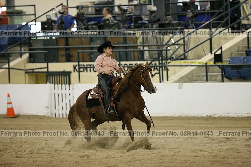 Proof 08r14-0043