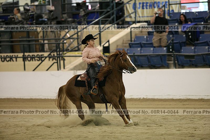 Proof 08r14-0044